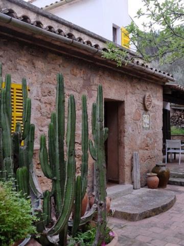 Hostal Catalina Vera Puerto de Andratx Εξωτερικό φωτογραφία
